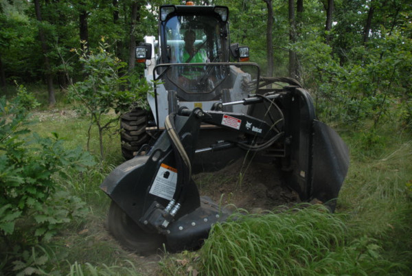 Bobcat Baumstumpffräse