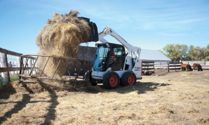 Bobcat S590 beim Verladen von Heu